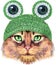 Lovely closeup portrait in pastel colors of Somali cat in a frog hat with eyes. Hand drawn water colour painting on white