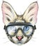 Lovely closeup portrait Savannah cat in goggles. Hand drawn water colour painting on white background