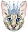 Lovely closeup portrait Savannah cat with golden crown. Hand drawn water colour painting on white background