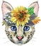 Lovely closeup portrait Savannah cat with sunflower. Hand drawn water colour painting on white background