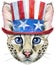Lovely closeup portrait Savannah cat in Uncle Sam\\\'s hat. Hand drawn water colour painting on white background