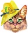 Lovely closeup portrait of Somali cat in yellow hat with flowers and butterfly. Hand drawn water colour painting on white