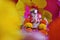 Lovely Colorful Lord Ganesh In Magical Flowers for Worship