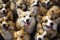 Lovely corgi background. Generative AI