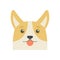 Lovely corgi dog icon flat isolated vector