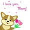 Lovely corgi puppy holds in his paws three pink tulips, congratulates with his mother`s day, in the style of cartoons.