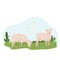 Lovely country rural landscape, Sheep graze, flowers, pasture. Country pet lamb. Isolated character on a white