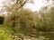 A lovely countryside park river stream scene with ducks spring l