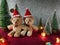 Lovely couple bear and christmas tree on pink gliter background near ornament lighting bulb at silent night, holy night, Merry Chr