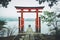 A Lovely Couple at Hakone Shrine, Japan