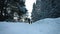 Lovely Couple Walking and Holding Hands during Beautiful Day of Winter