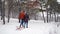 Lovely couple walking pulling sled on snowy winter day. Man with girlfriend go sledding on snowfall. Woman going to