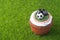 Lovely Cupcake in a football style on a green lawn
