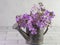 Lovely dame\\\'s rocket flower placed in a rustic metal watering can on a white subway tile