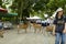 The lovely deers are walking on the ground in Nara Park. Nara Park is a public park located in the city of Nara, Japan