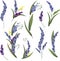 Lovely delicate lavender sprigs with leaves. Flowers on white background