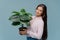 Lovely delighted brunette woman holds green house plant in pot, likes growing pot plants at home, wears polka dot pink shirt and