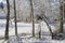 Lovely details of branches with snow,frost and wooden bridge