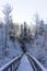 Lovely details of branches with snow, frost and wooden bridge