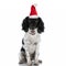 Lovely english springer spaniel puppy wearing christmas hat and panting