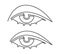 Lovely female eye with long eyelashes. Continuous line drawing illustration