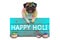 Lovely Festival of colors pug puppy dog, covered with colored powder, hanging on sign with text happy Holi