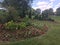 Lovely Flower Garden with Topiary in Background