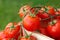 Lovely fresh small red tomatoes