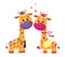 Lovely giraffes in love. Lady and gentleman. Vector illustration in cartoon flat style. White background.