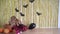 Lovely girl with blond curly hair decorate room with pumpkins for Halloween