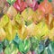 Lovely group of the autumn leaves like rainbow. Graphic bright floral herbal autumn orange yellow leaves pattern