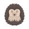 Lovely hedgehog animal cartoon character with funny face vector Illustration on a white background