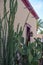 Lovely home and garden in historic downtown Tucson