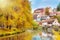 Lovely houses and autumn trees