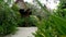 Lovely huts near tropical tree. Wonderful shacks of small village located around amazing tropical tree on sunny day in