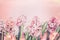 Lovely Hyacinths flowers with bokeh on pastel pink background, top view. Springtime and gardening