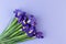 Lovely iris flowers on violet backdrop, holiday postcard with copy space