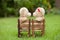 Lovely kiss teddy bear sit on wooden chair, Concept wedding of l