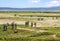 Lovely landscape with zebras in the African savannah