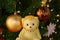 Lovely Lion Doll and the Sparkling Christmas Tree Decorating with Many Beautiful Ornaments