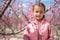 Lovely little girl in a grove of fruit trees. Spain
