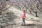 Lovely little girl standing in a grove of fruit trees. Spain