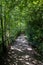 A lovely long walk path surrounded by nature, Forty Hall, UK