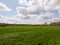 A Lovely Lush Meadow on A Clear Sping Day with Beautiful Clouds