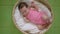 Lovely newborn girl in pink bodysuit in basket on green background, top view