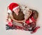 Lovely newborn wearing santa hat