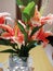 Lovely orange lilium flowers and leaves in a beautiful glass container