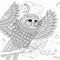 Lovely owl coloring page