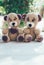 Lovely pair of teddy bears on a wooden table