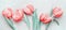 Lovely pastel pink tulips frame at light background, top view. Layout for springtime holidays.
